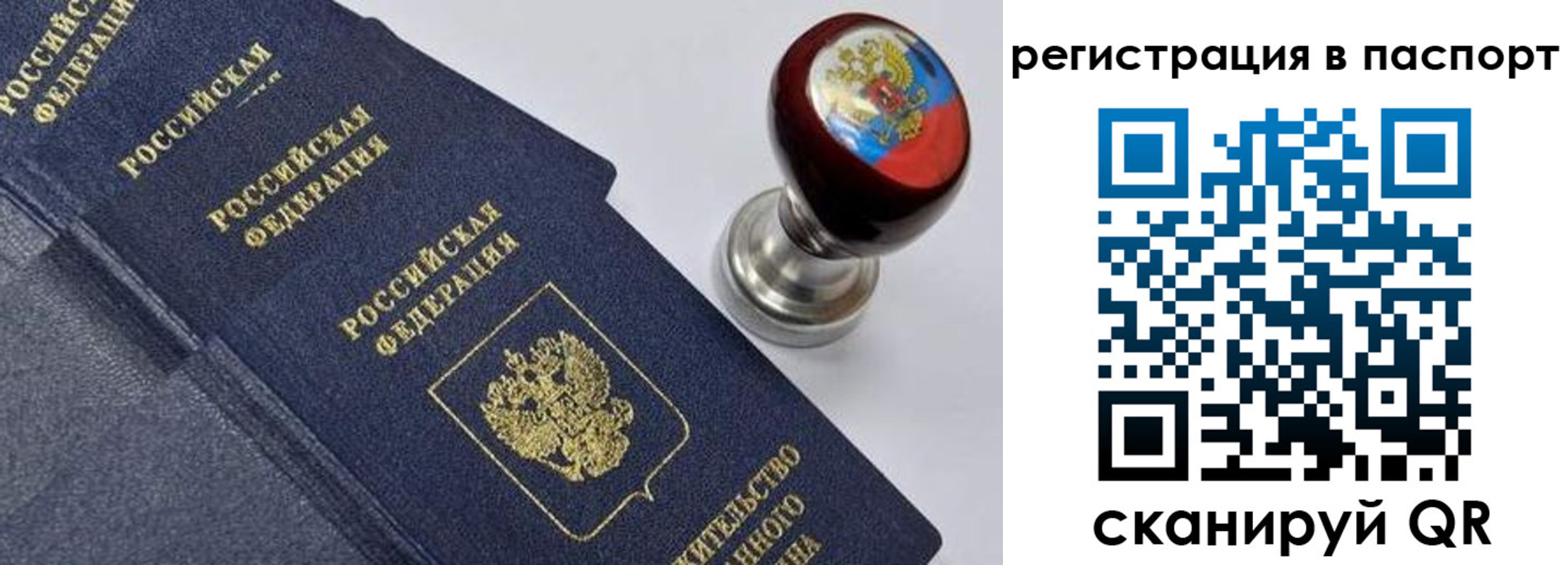 прописка поиск в Тамбовской области
